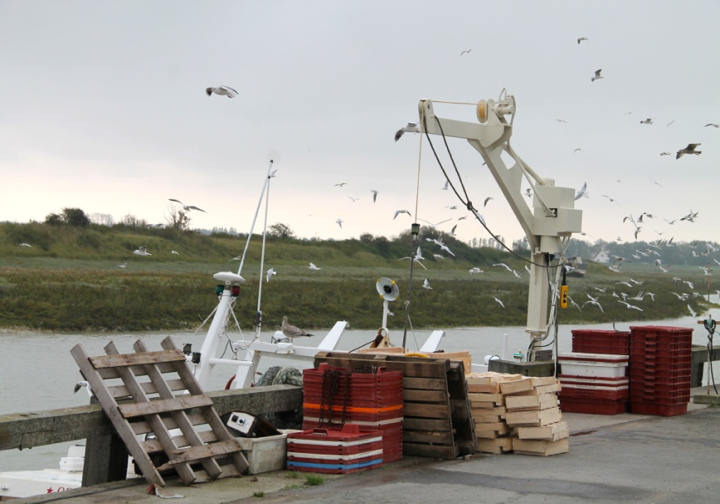 Port du Hourdel