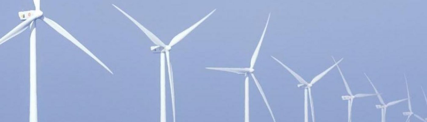 Avis sur l&rsquo;éolien en mer et le Parlement de la mer