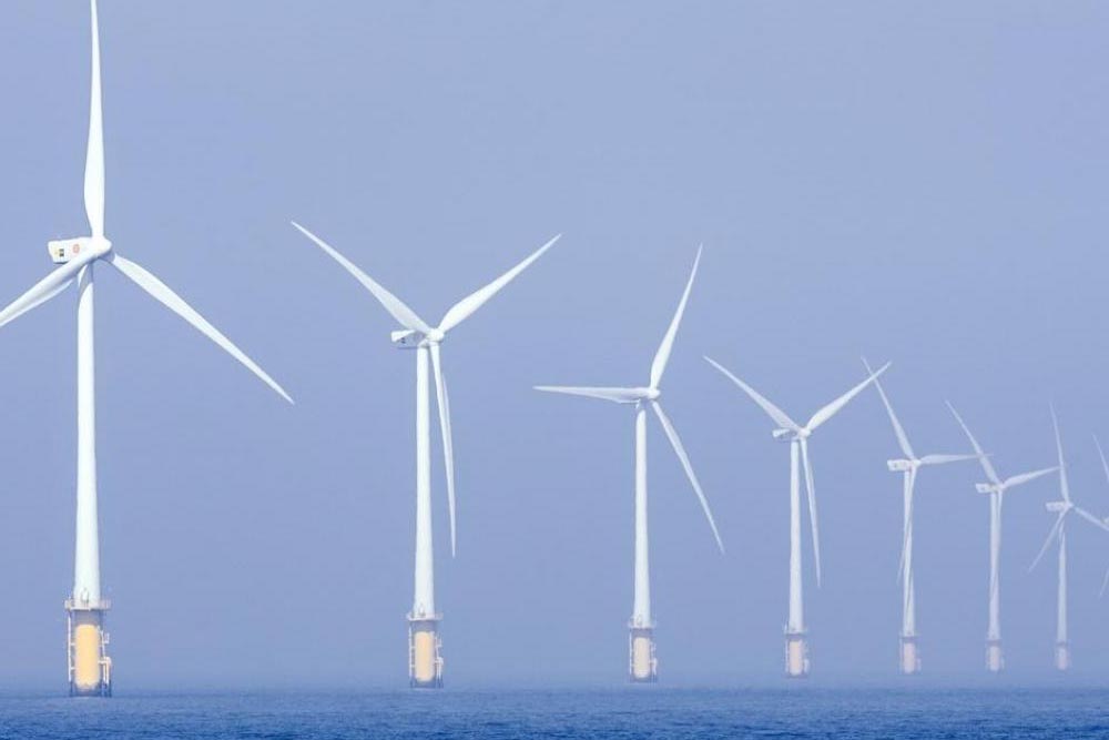 Avis sur l&rsquo;éolien en mer et le Parlement de la mer