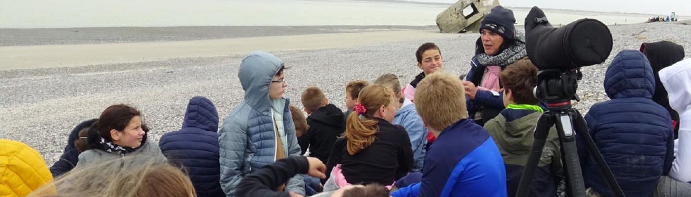 CLASSES PATRIMOINE
