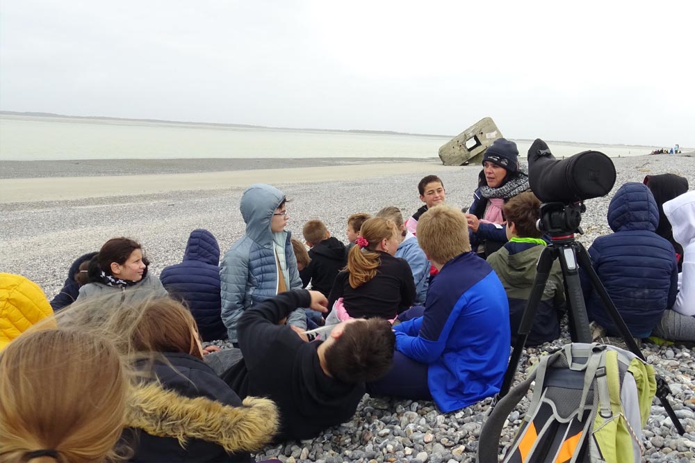 CLASSES PATRIMOINE