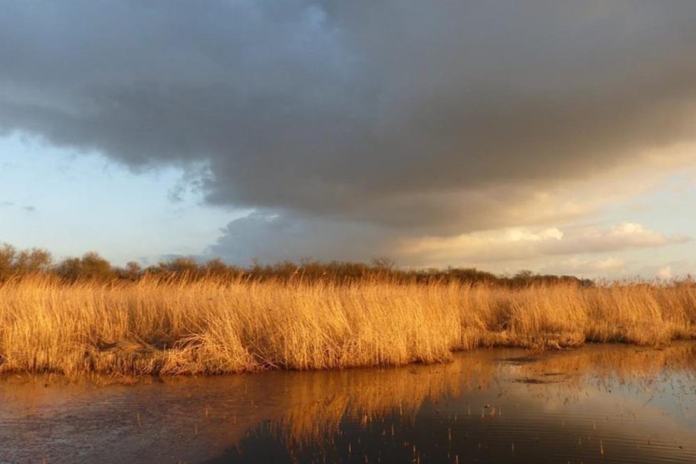 A la découverte du marais du Pendé
