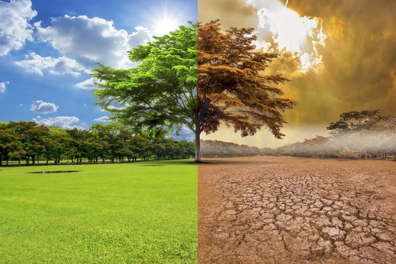 rechauffement-climatique-scaled.jpg rechauffement-climatique-scaled.jpg
