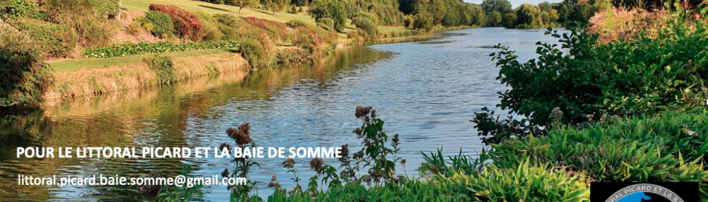 VOEUX 2023